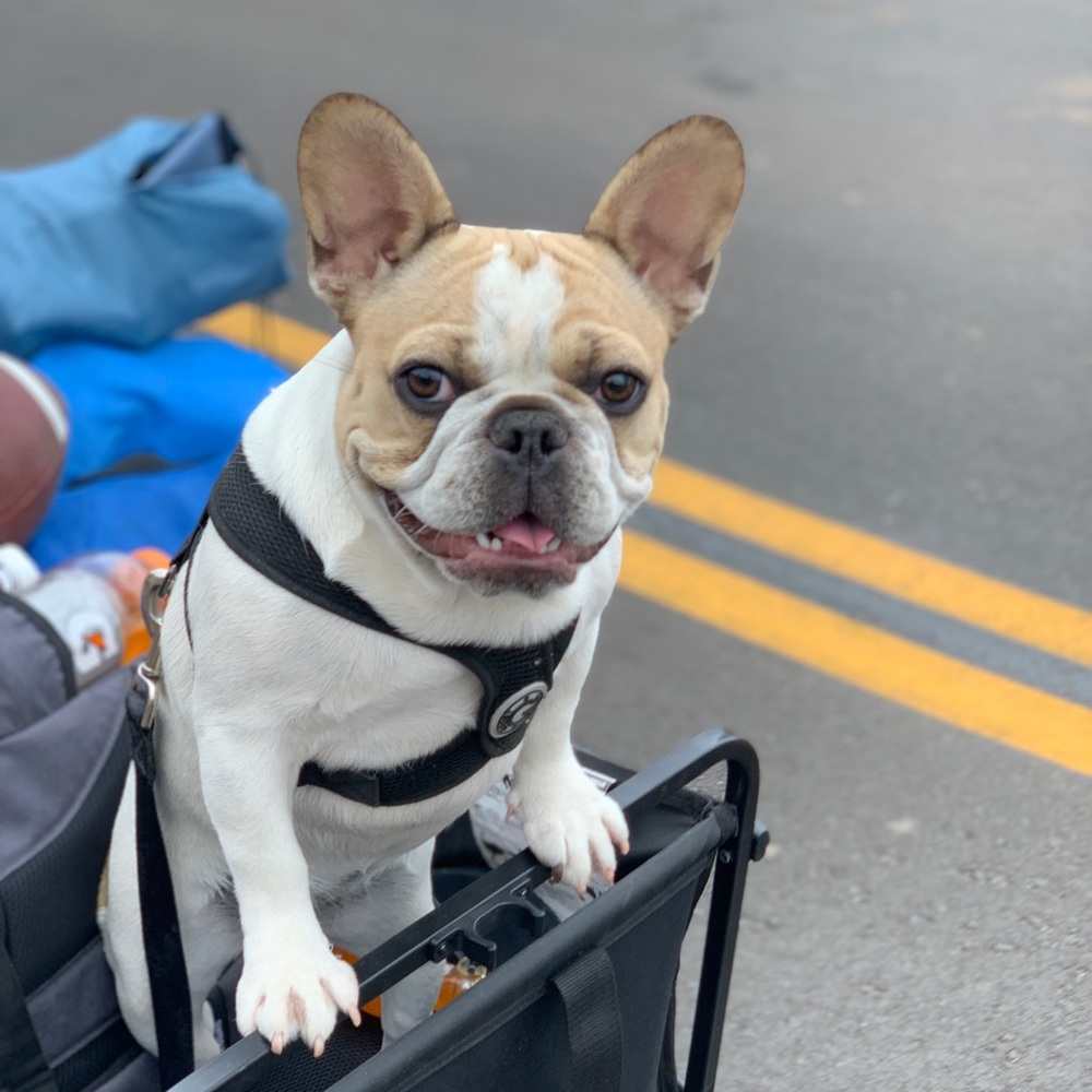 Meet your Posher, Madlen